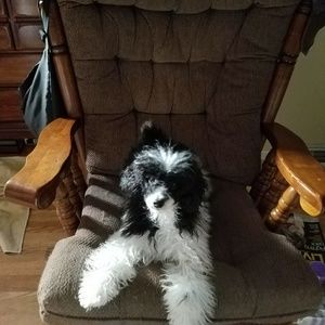 Meet your Posher, Beverly